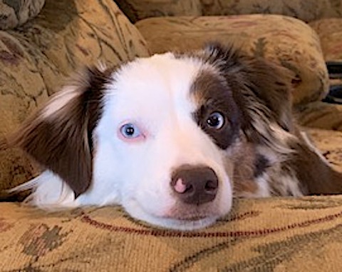 Maggyy portrait.1639335460.jpg