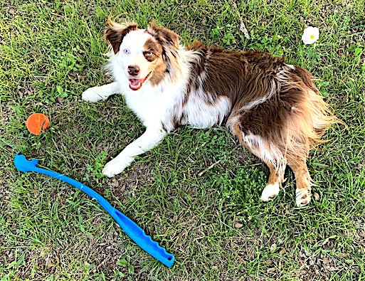 Mags Easter.1651724718.jpg