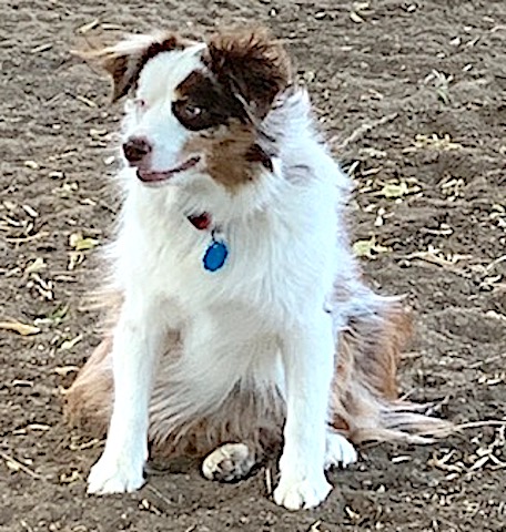 Mags sit.jpg
