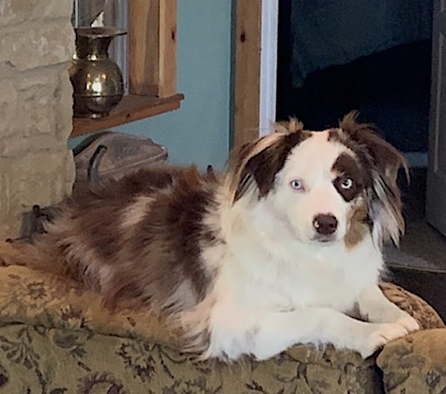 Mags sofa.jpg