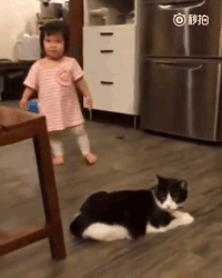 main-qimg-4c0a0f24321559ea01251f24320def4a.gif