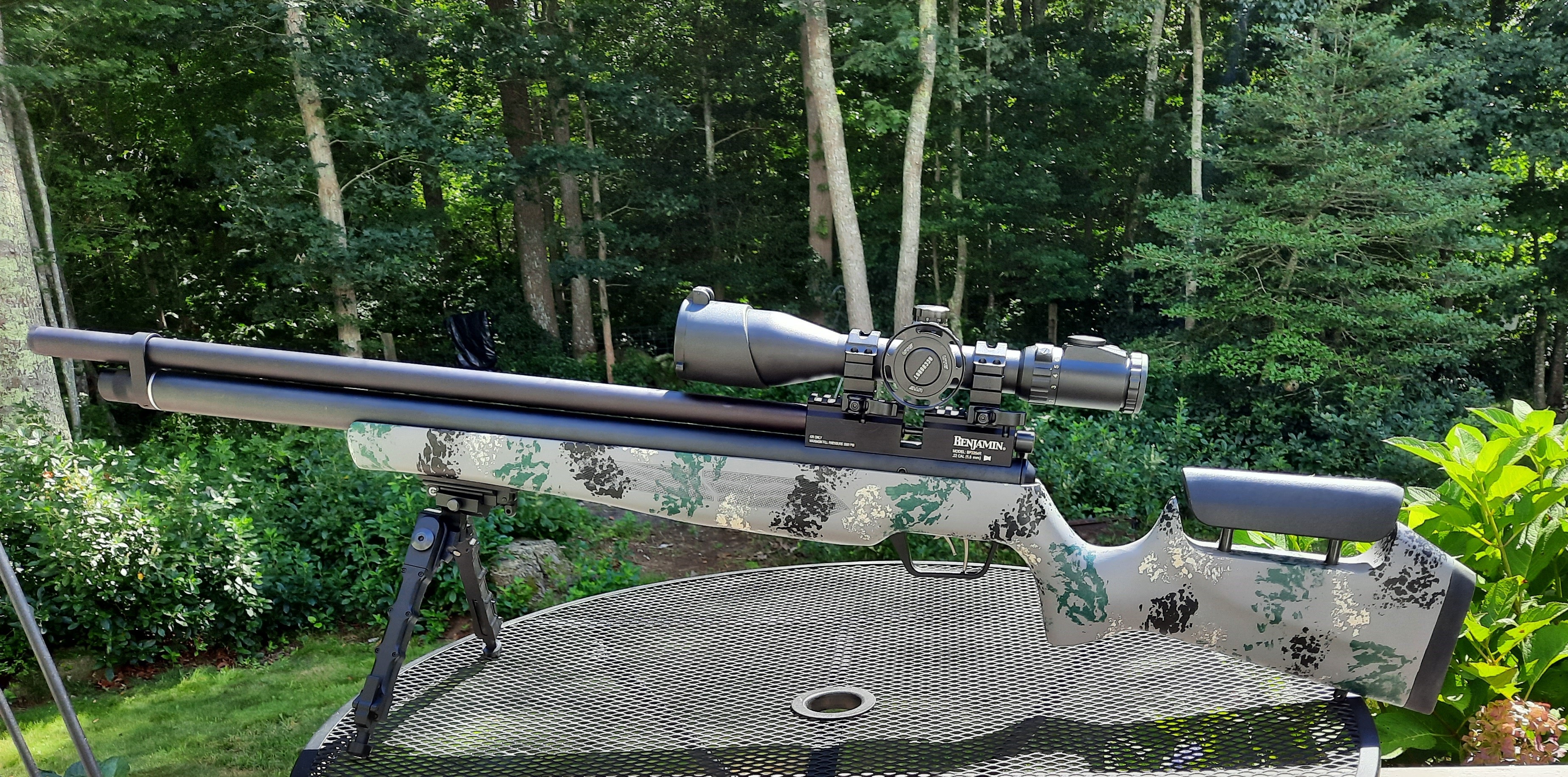 Marauder paint.jpg