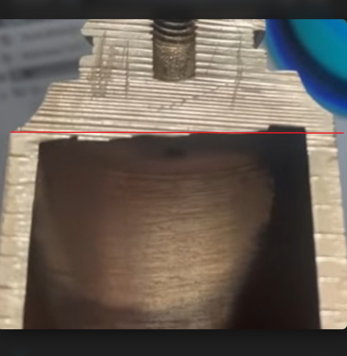 Marco's cut.jpg