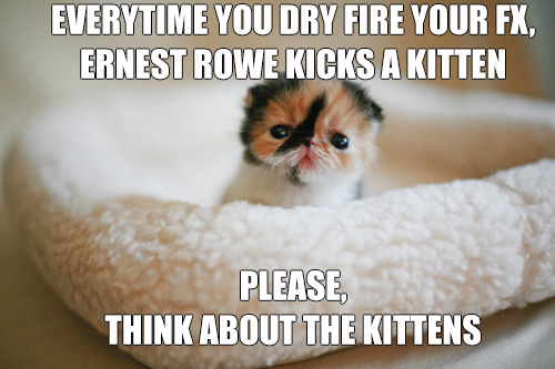 meme-kitten.jpg