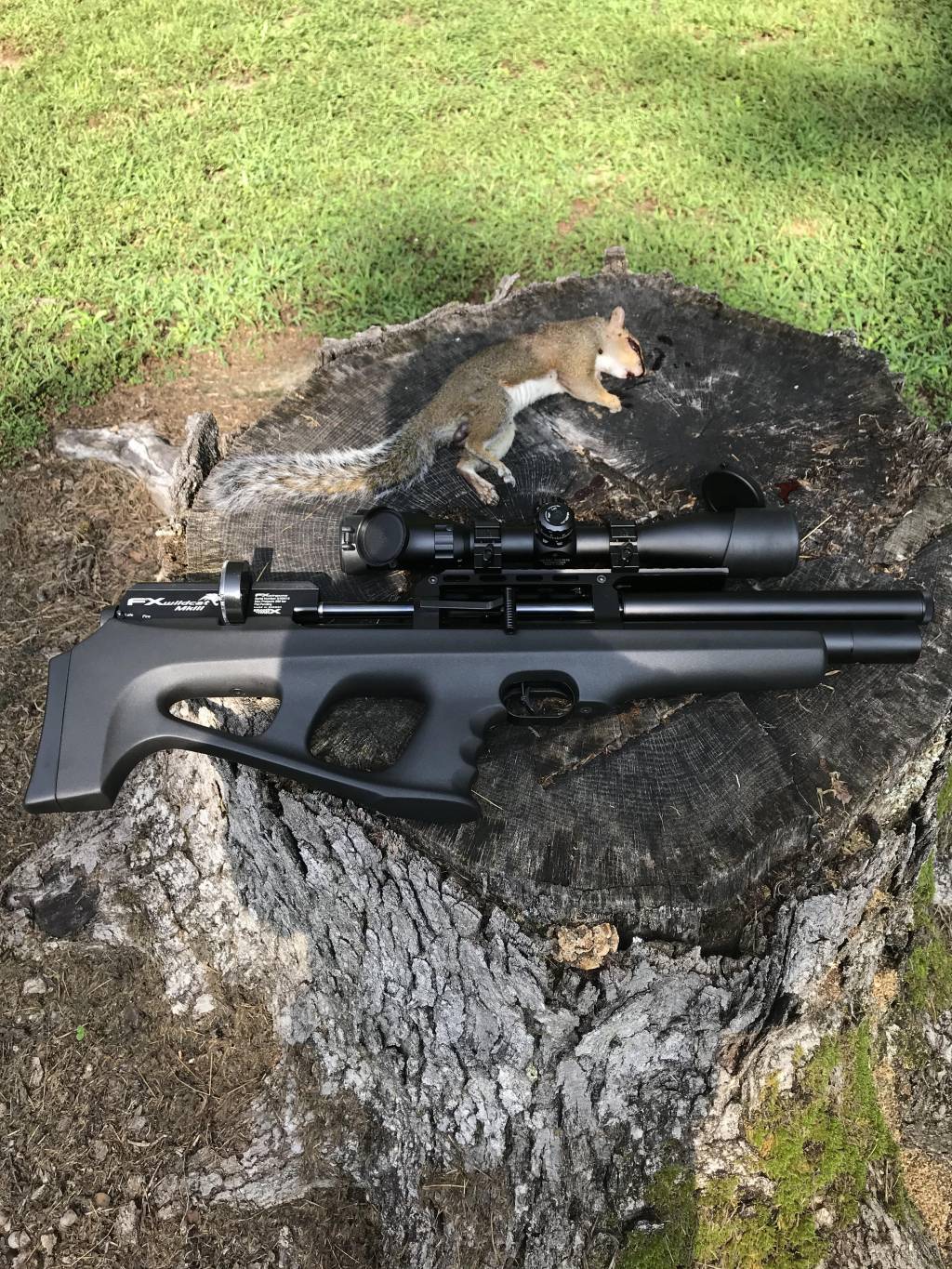 MK3Squirel.1600804397.jpg
