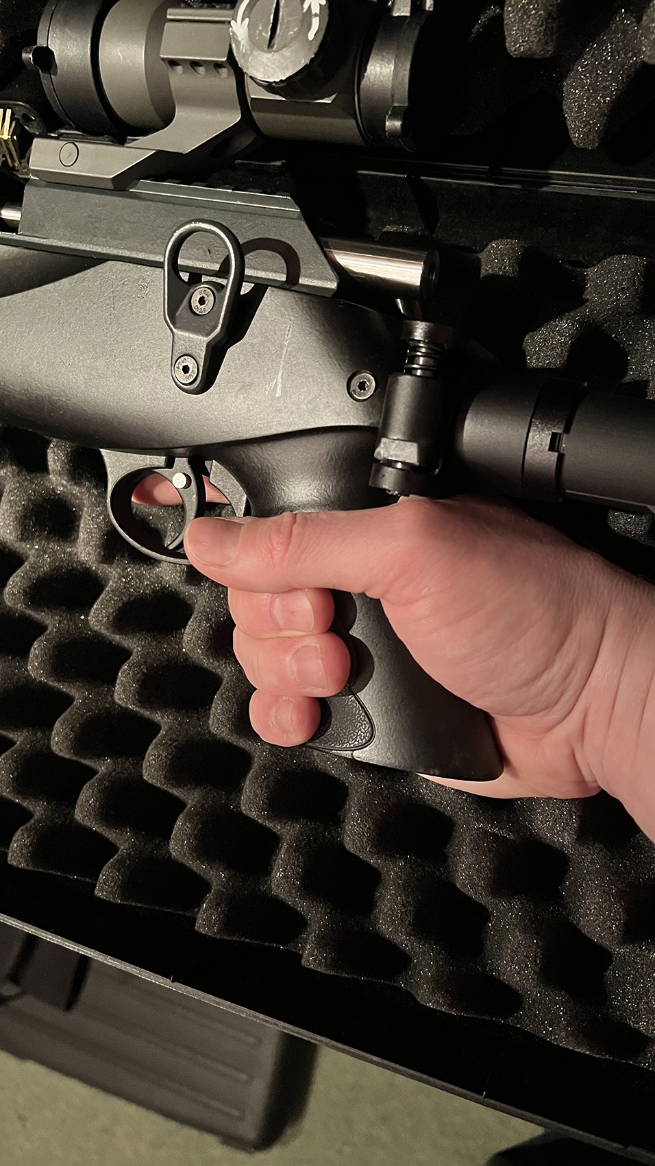 mm25 (1).jpg
