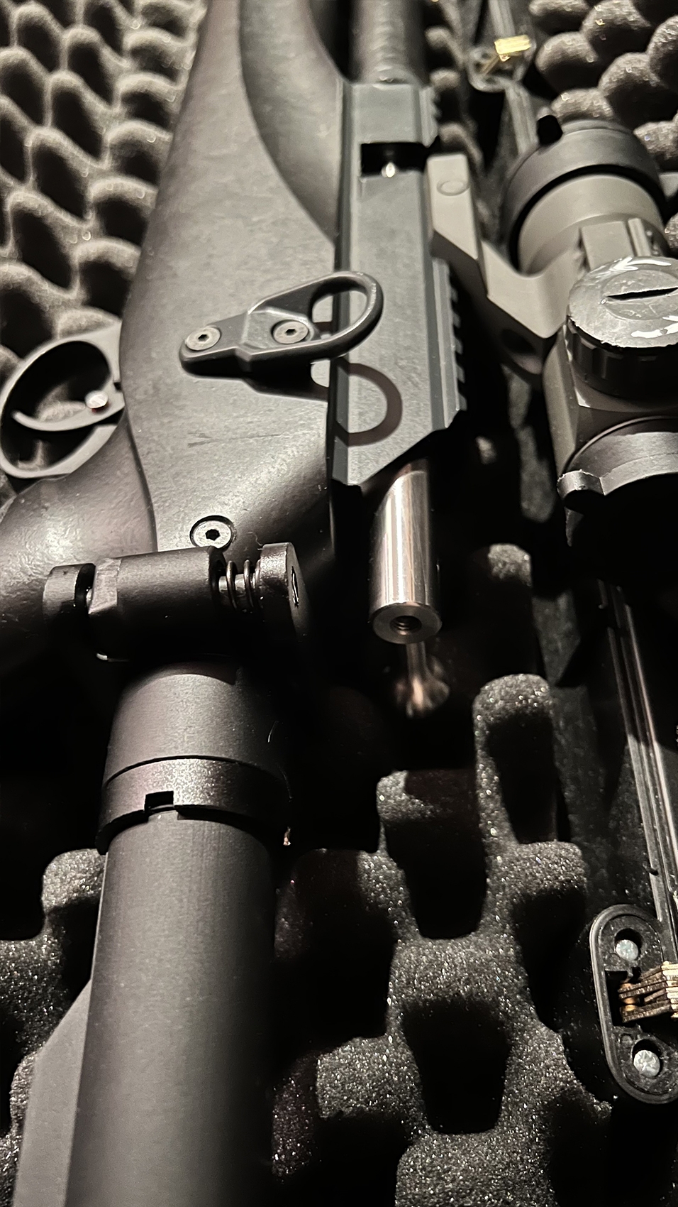 mm25 (2).jpg