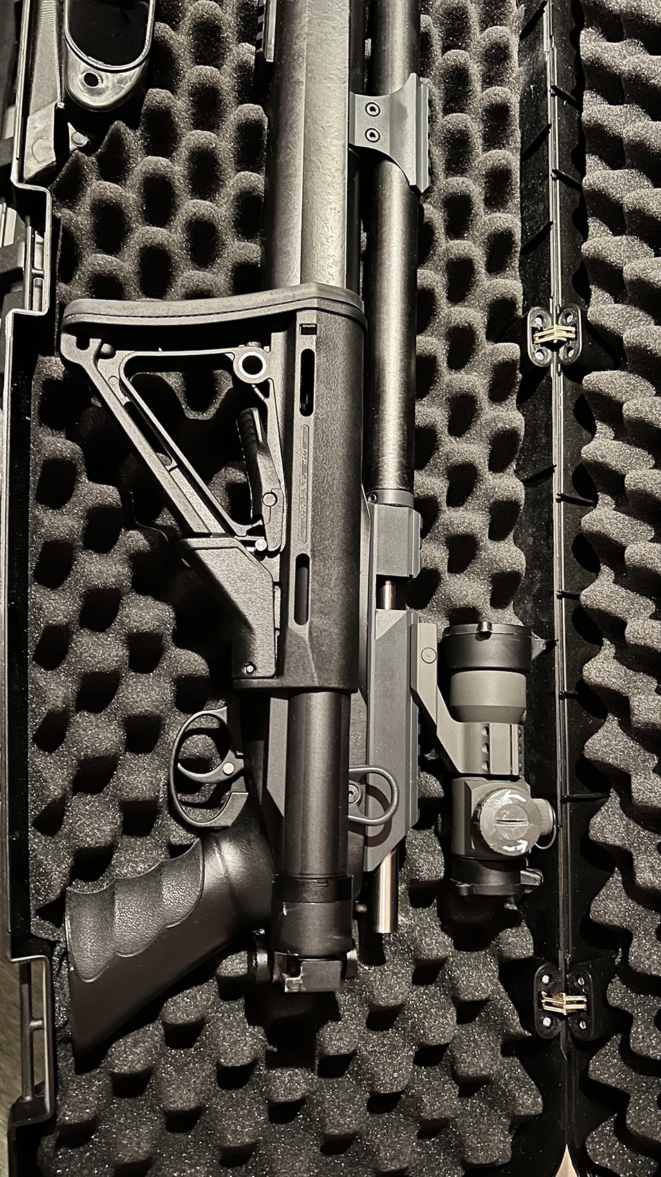 mm25 (3).jpg
