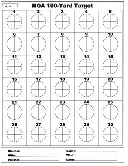 MOA 100-Yard Target.5.jpg