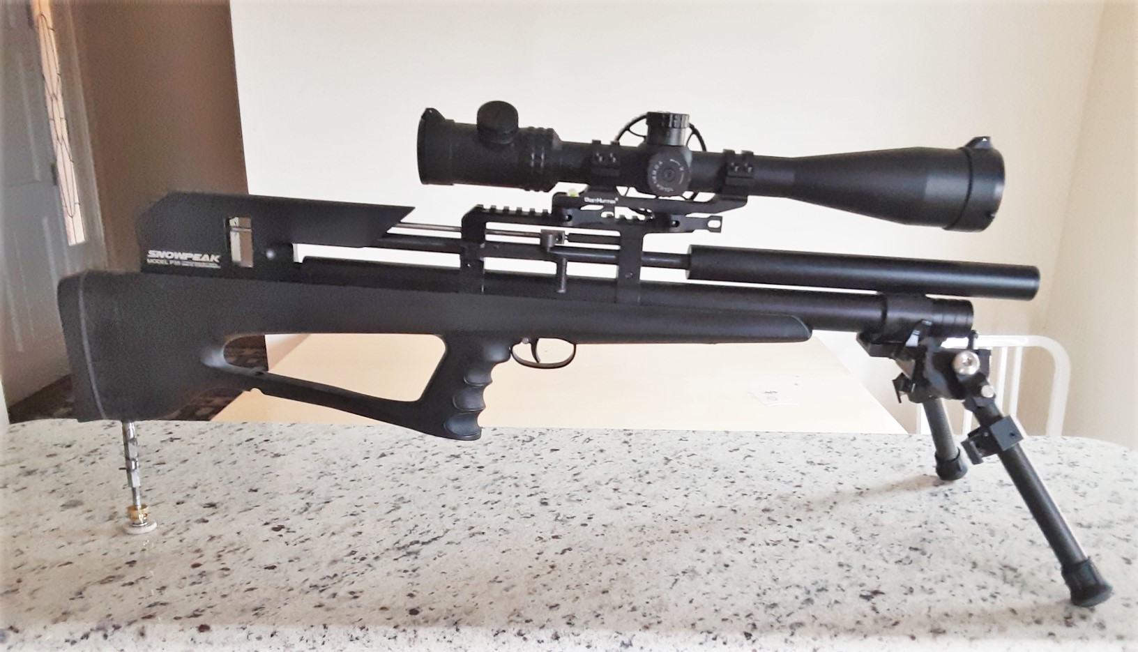 monopod on P35.jpg