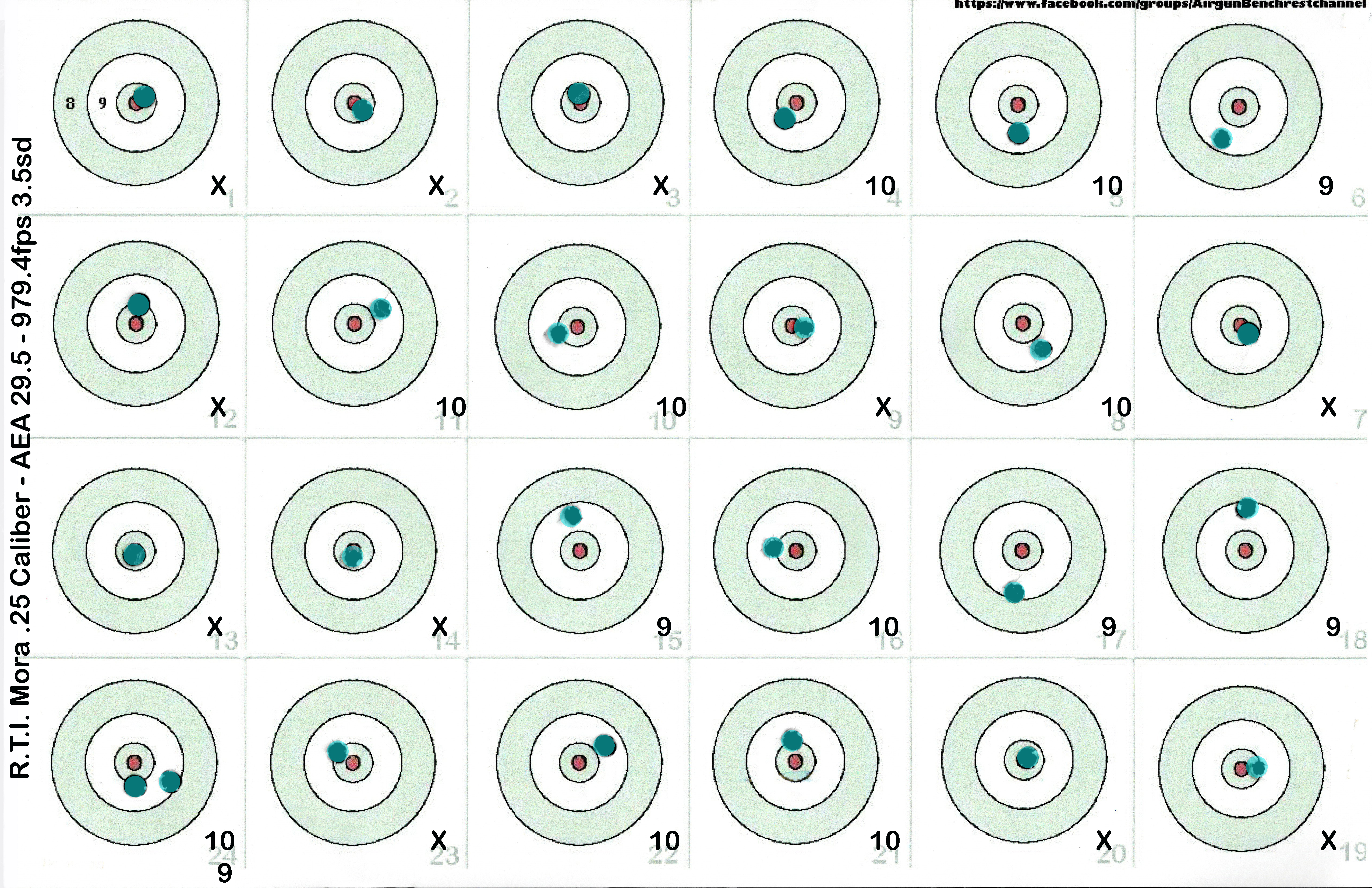 Mora 25 cal AEA 29gr at 975 fps 100 yds #120250415.jpg