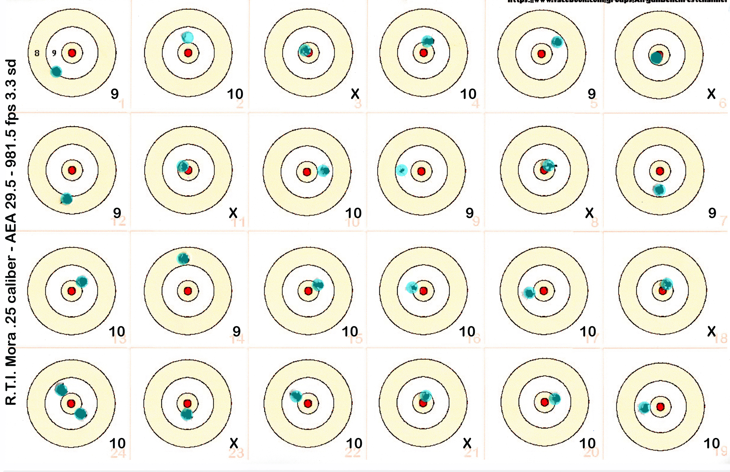 Mora 25 cal AEA 29gr at 975 fps 100 yds #220250415.jpg