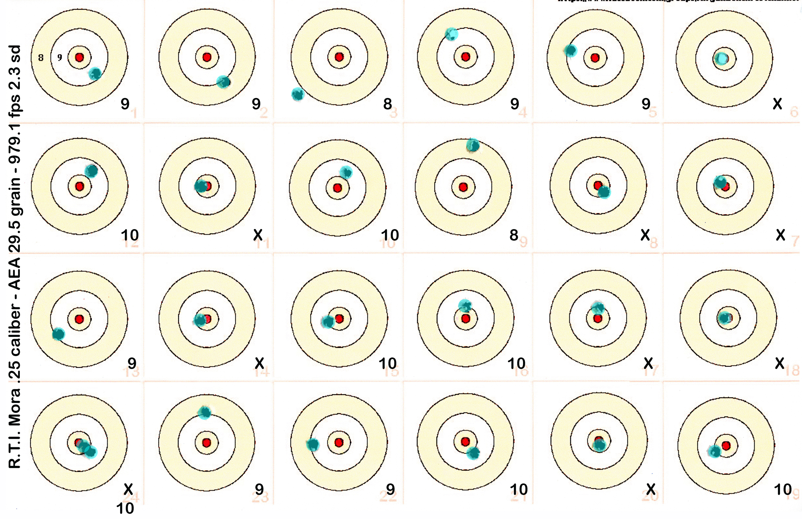 Mora 25 cal AEA 29gr at 975 fps 100 yds #320250415.jpg