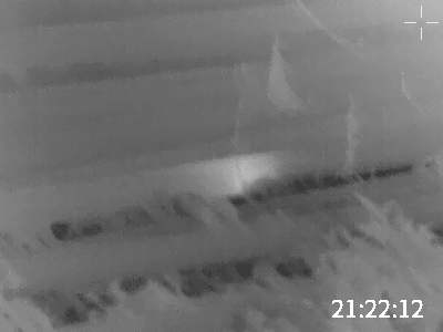 Mouse Hiding in Steel Pipe 1.1640527235.jpeg