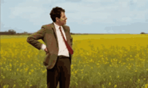 mr-bean-mr-bean-holiday.gif