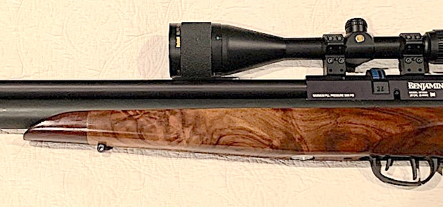 Mrod LSF.jpg