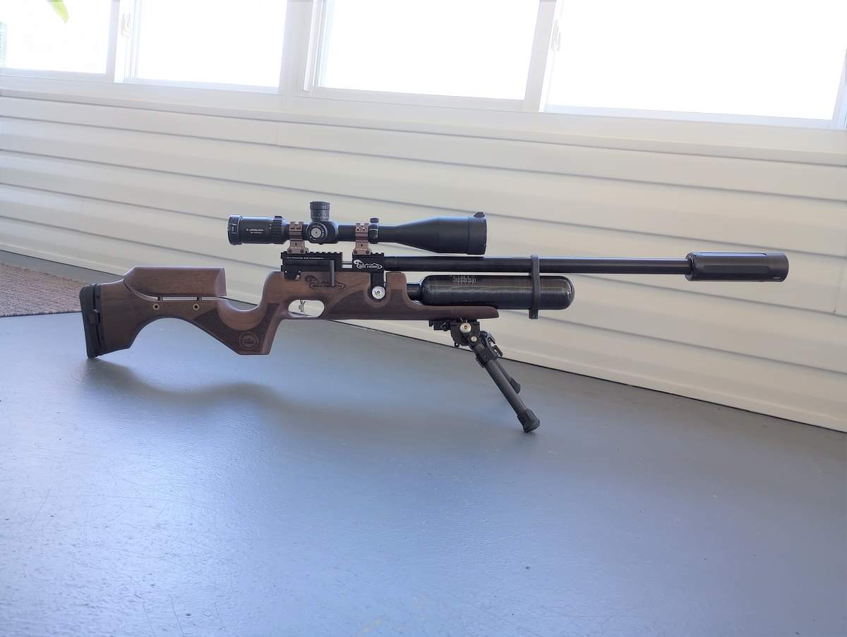 My Bighorn.jpg