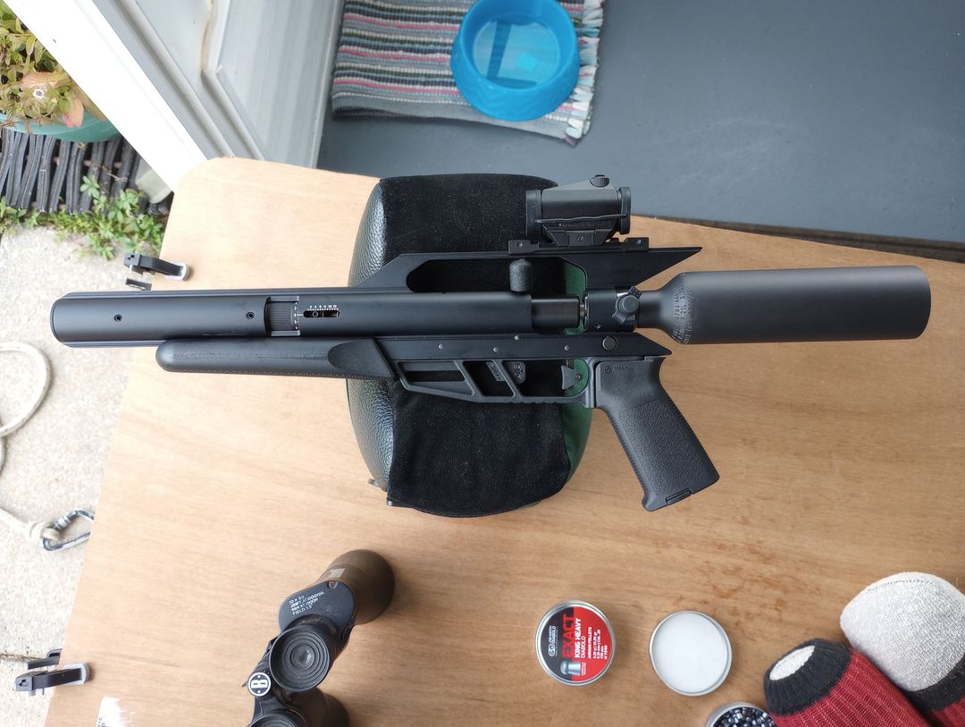 My TalonP.jpg