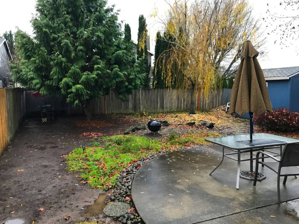 mybackyarddec2020a.1611495399.jpg