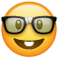 nerd-face_1f913.1635597593.png