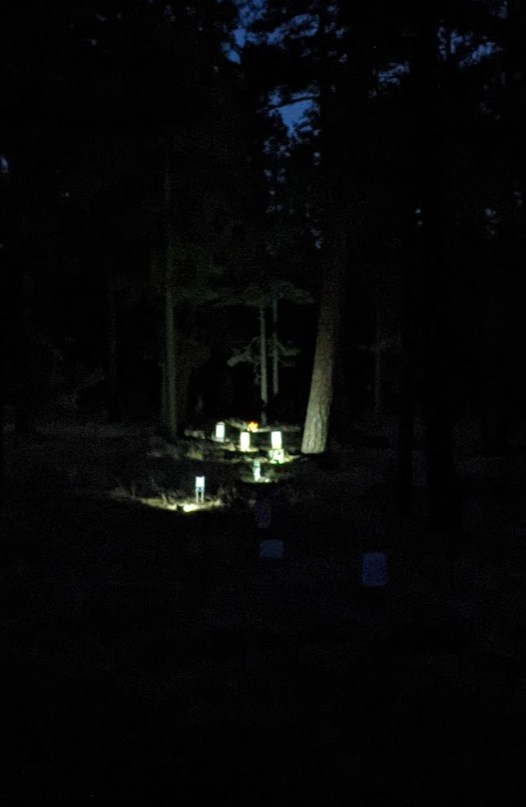 night games.1652684520.jpg