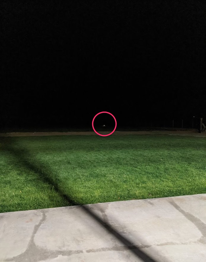 night shooting.1636862117.jpg
