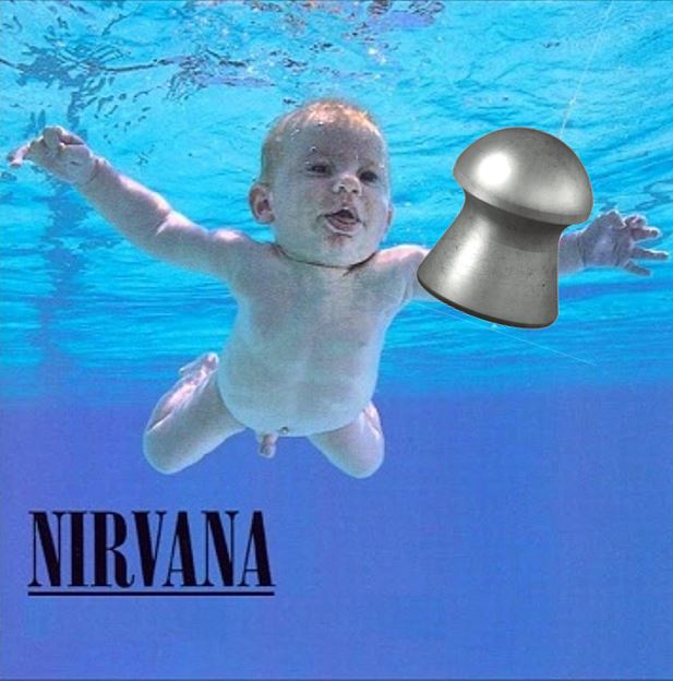 nirvana pellet.1623205203.jpg