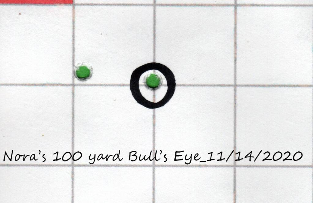 Noras Bullseye.1605626540.jpg