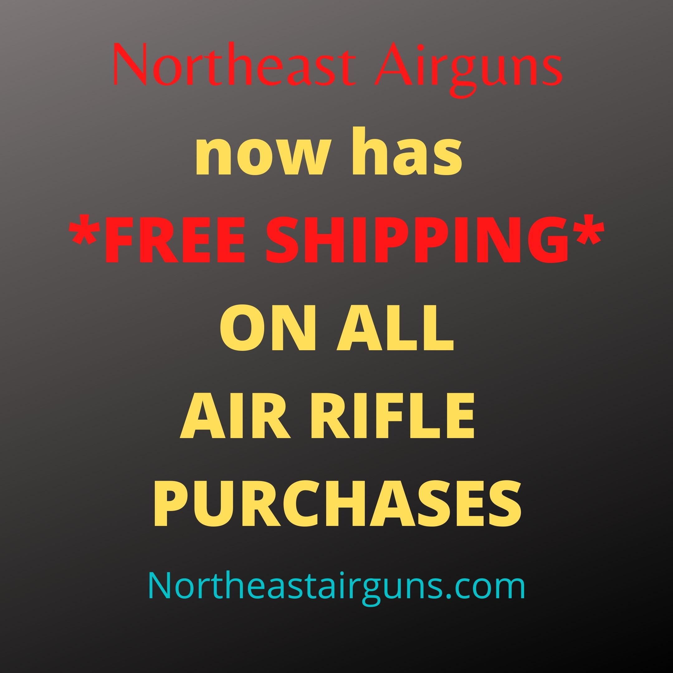 Northeast Airguns now has FREE SHIPPING on ALL rifle purchases.1640641007.jpg
