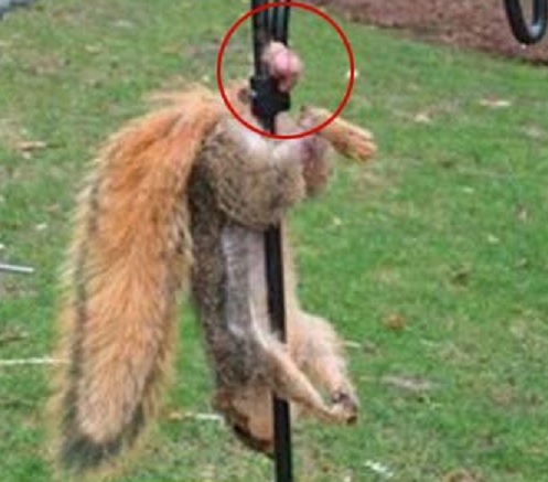 nutts.1615240497.jpg