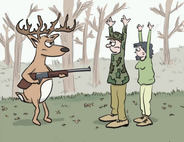 O deer.jpg