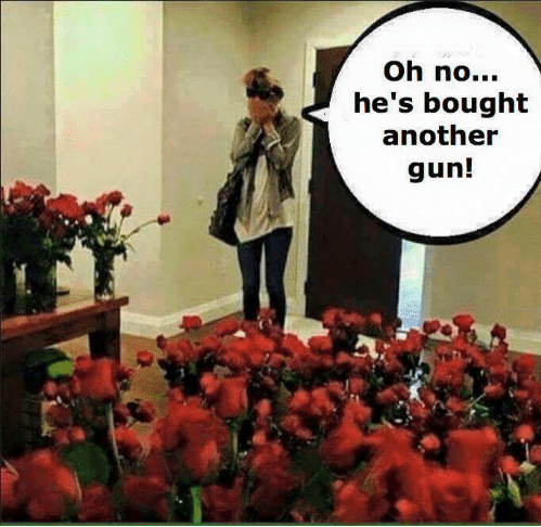 oh-no-hes-bought-another-gun-flowers-and-guns-i-23514022.png