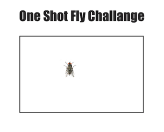 one shot fly challenge.1623920591.png