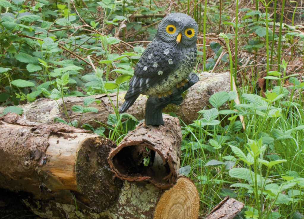 owl-decoy-for-magpie-airgun-hutning.jpeg
