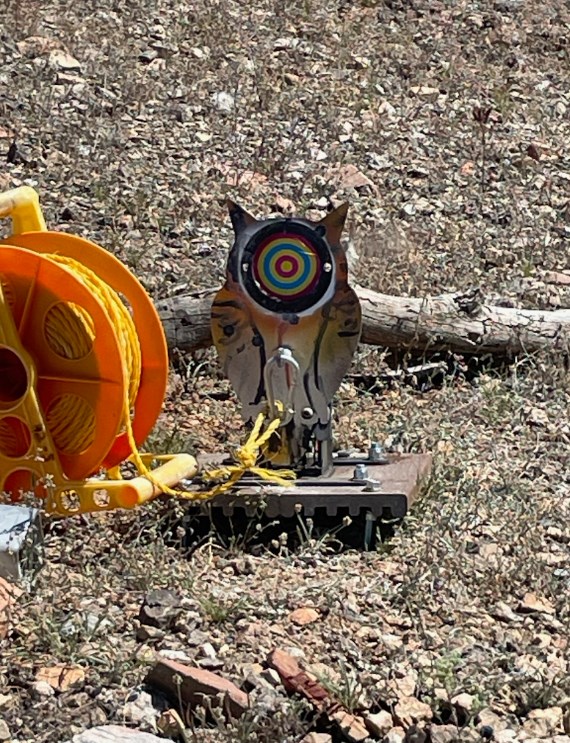 owl.jpg