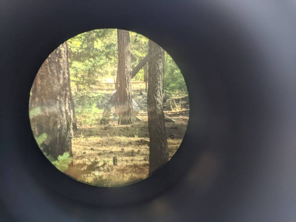 owl, rangefinder.1626335519.jpg