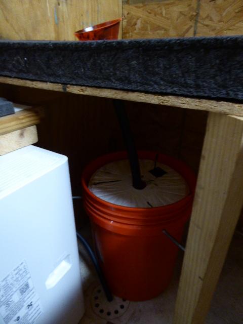 P1000426.1614469868.JPG