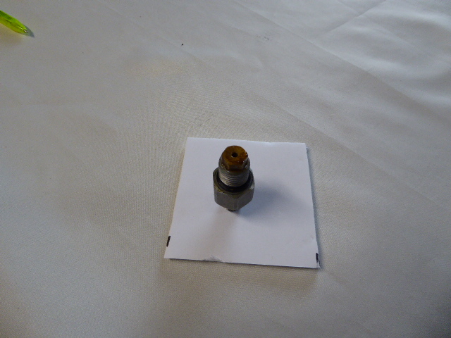 P1000463.1617562517.JPG