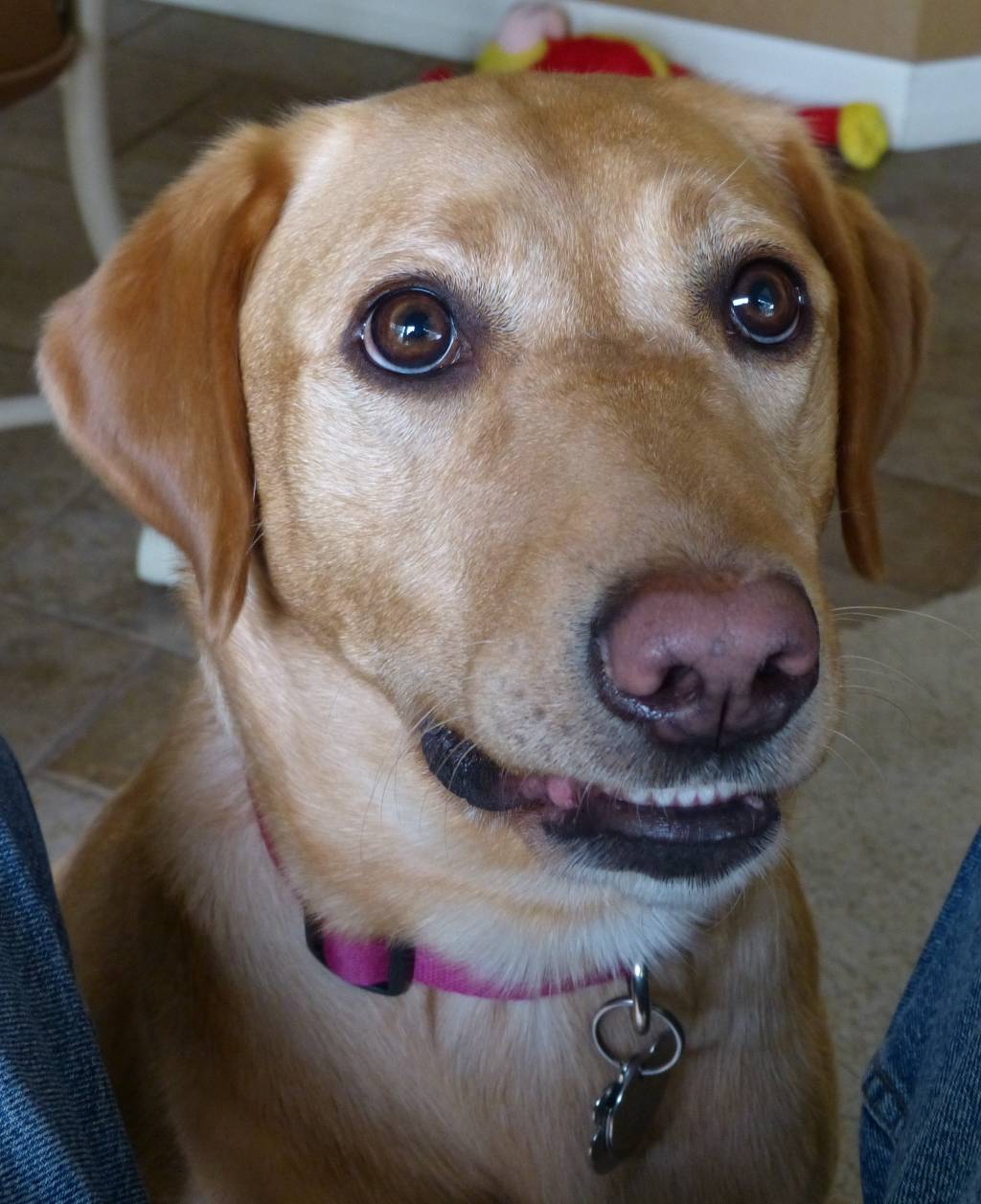 P1130384crop.1646780928.jpg