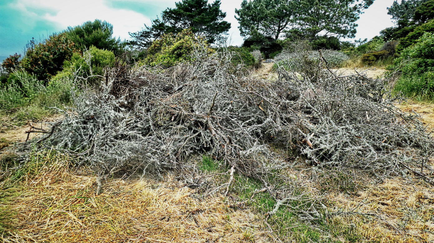 P1150549_1-1389x779.jpg