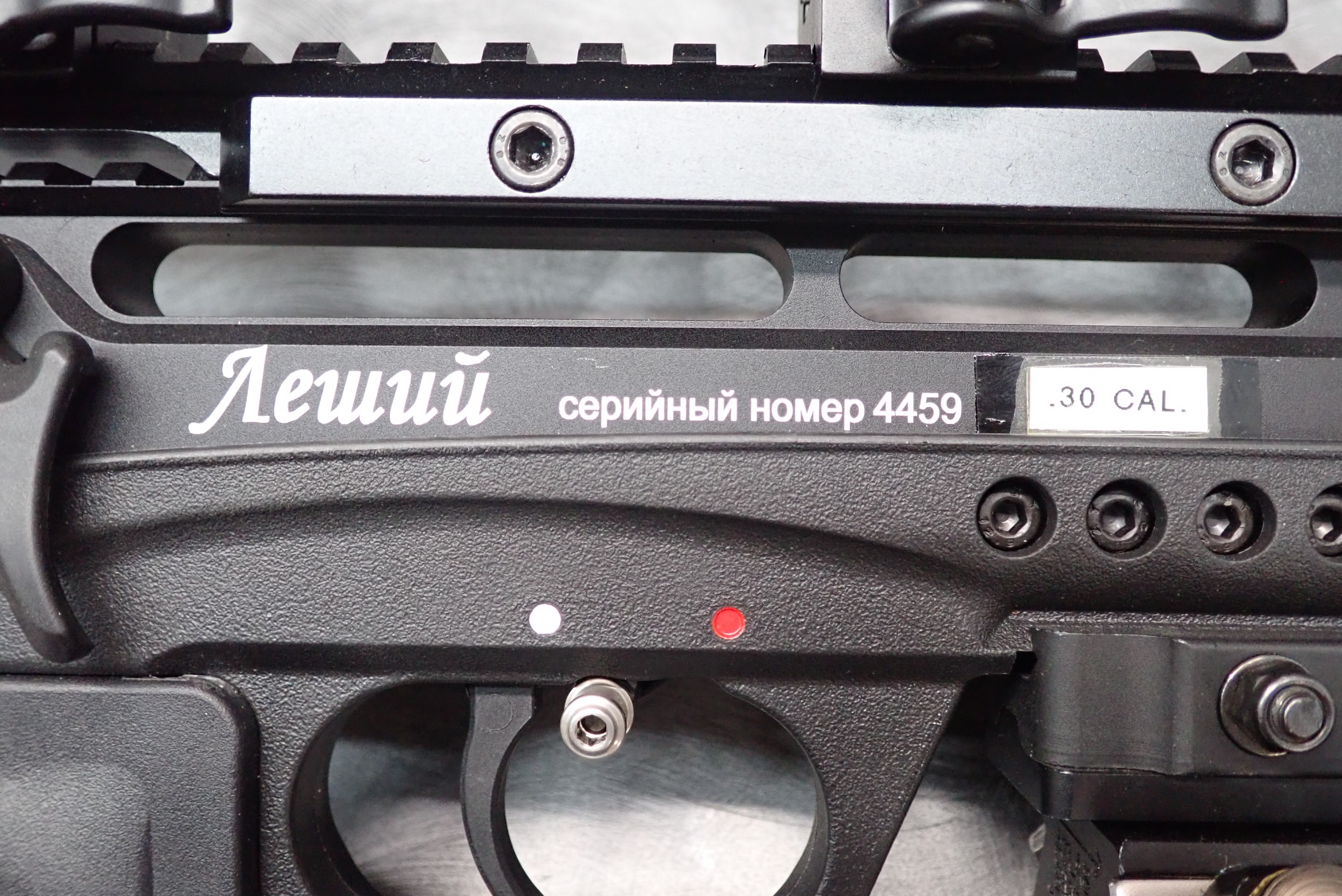 P1310003.JPG