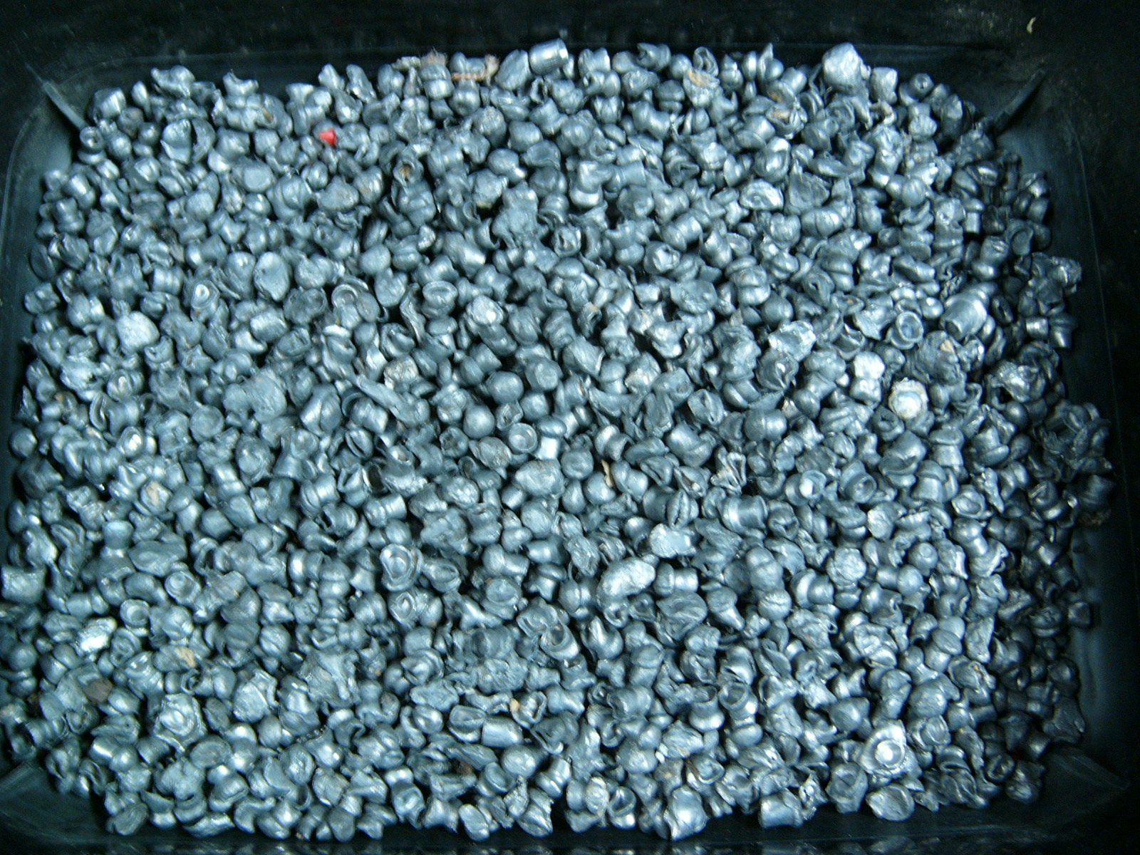 P1430576.JPG