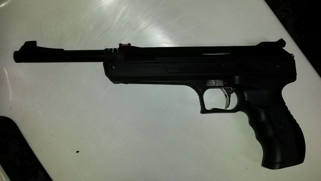 P17 10 inch.jpg