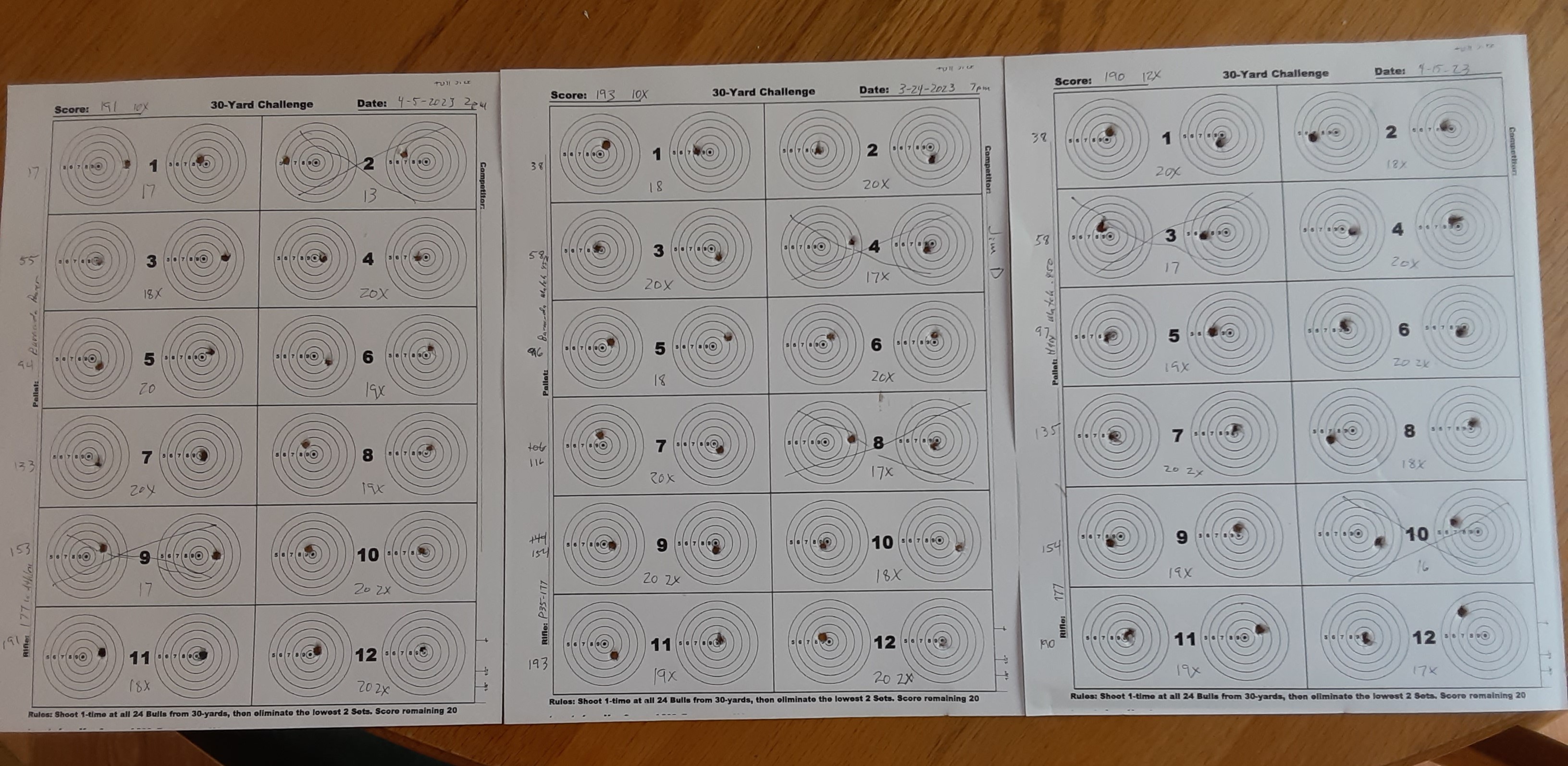 P25-177 3 different pellets.jpg