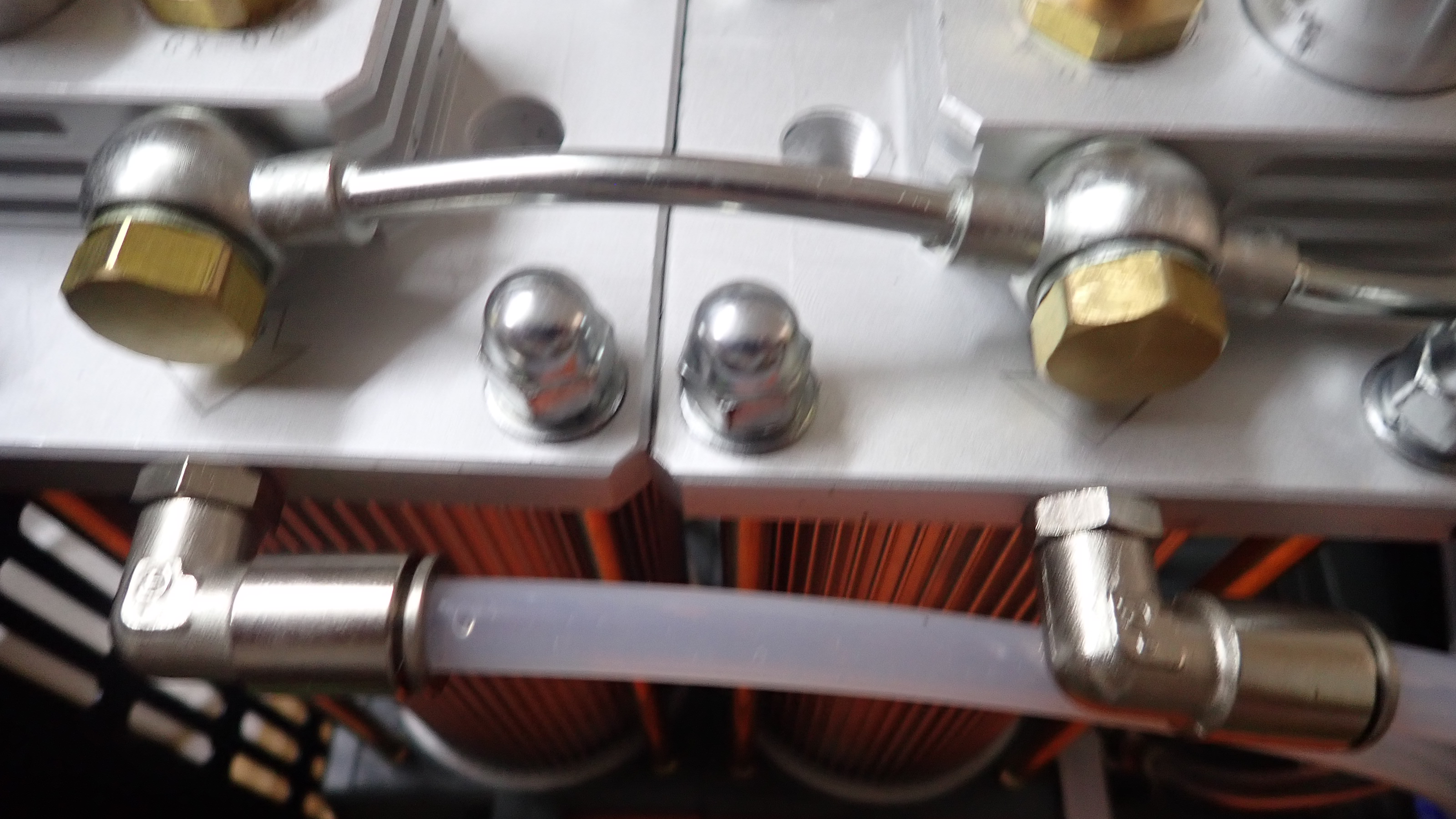P4200007.JPG