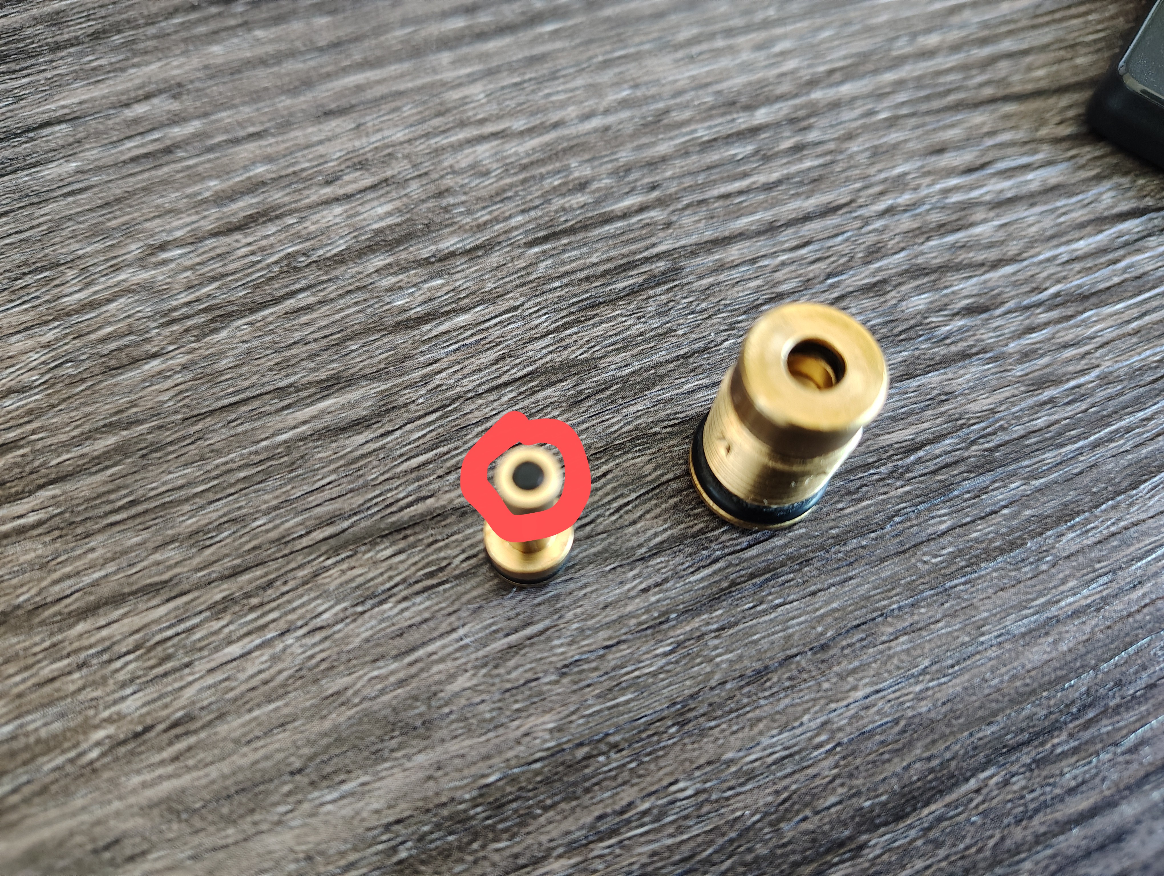 PantheraRegulatorPiston.jpg