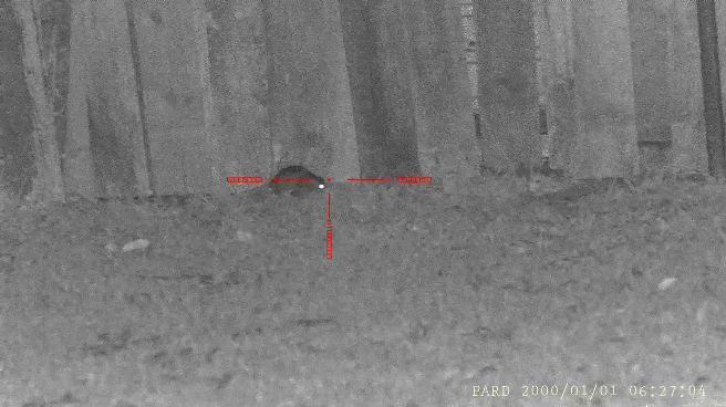 PARD_20000101_062554_1.1636254177.gif