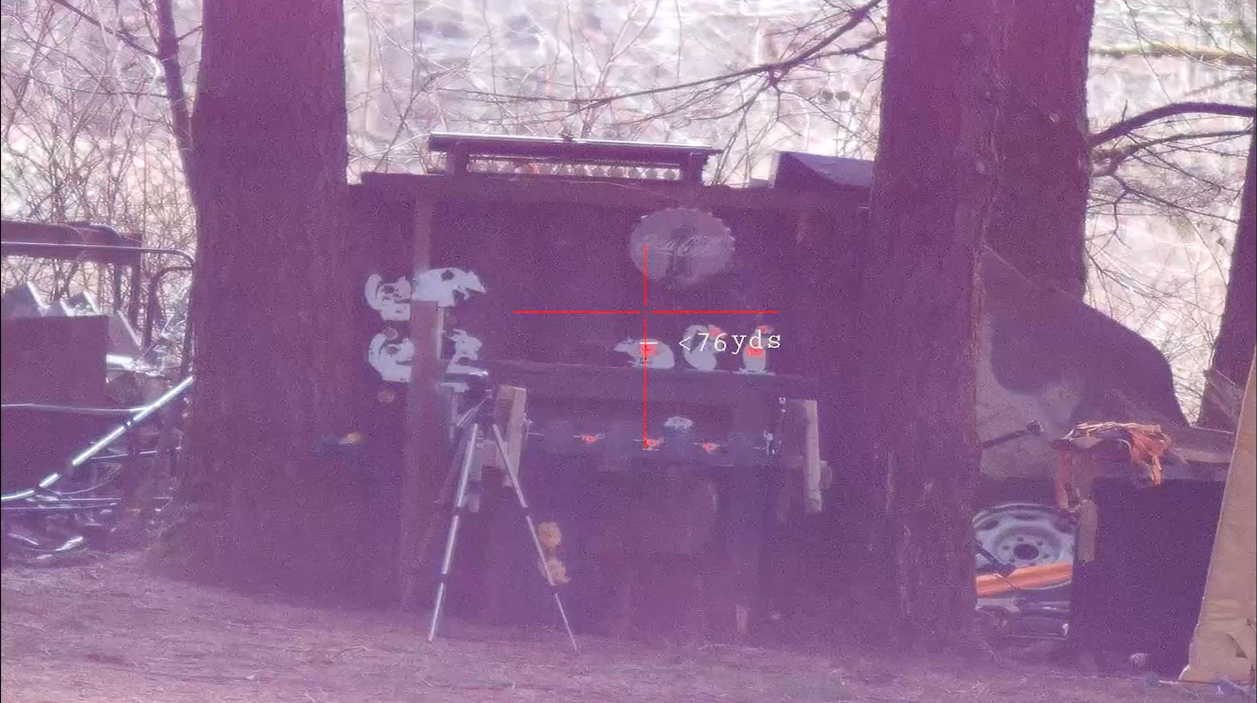 pardnv008slrfii.JPG