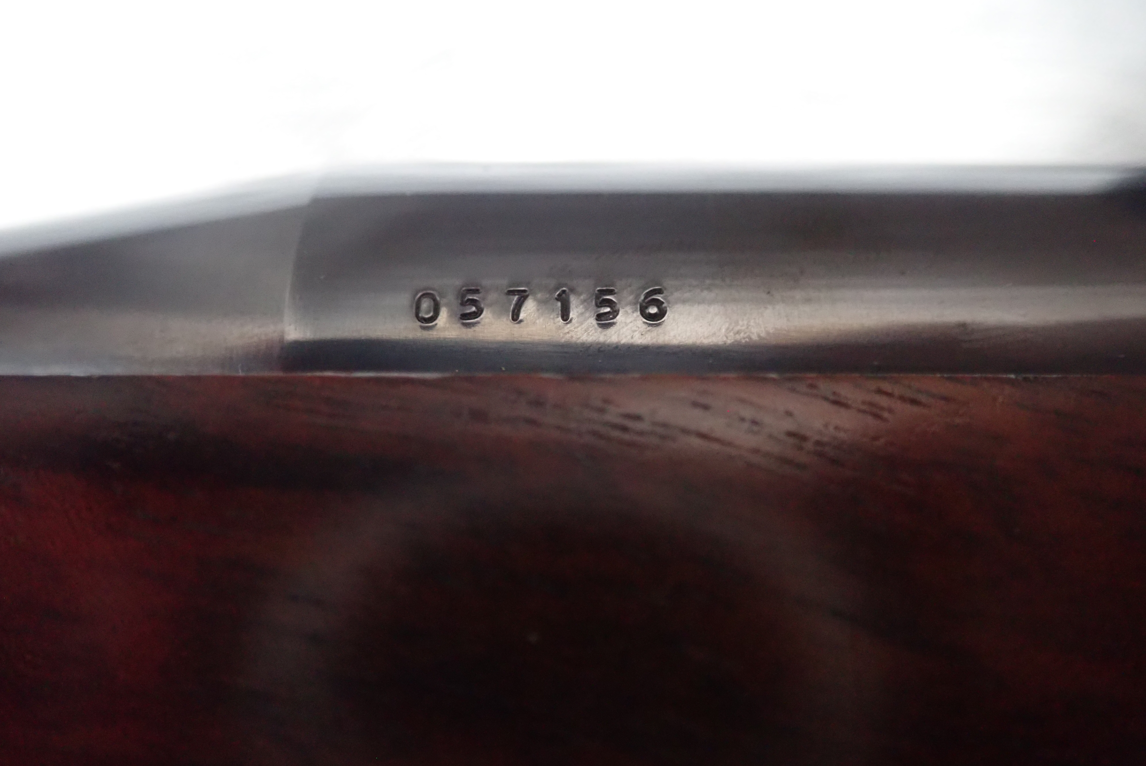 PB020006.JPG