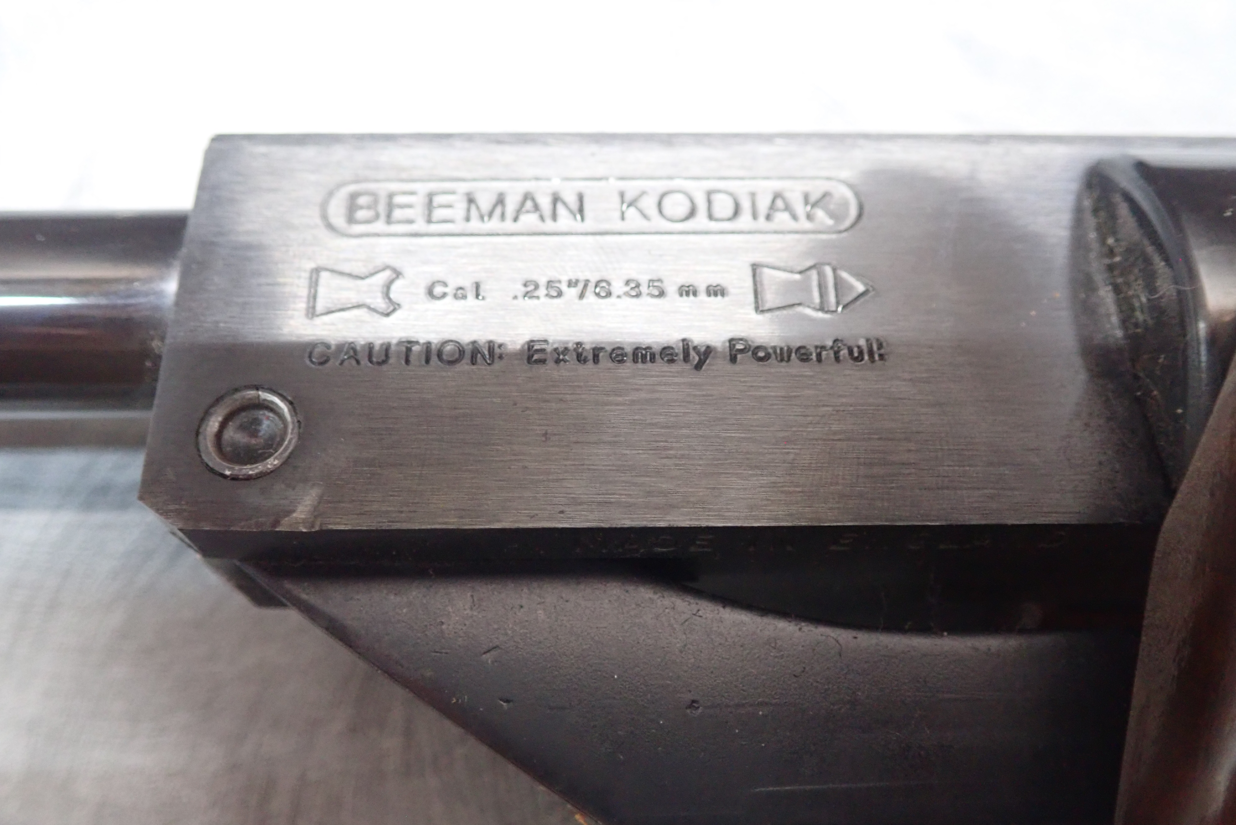PB030006.JPG